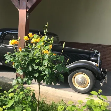 Old Cars ゲストハウス クリスティアン