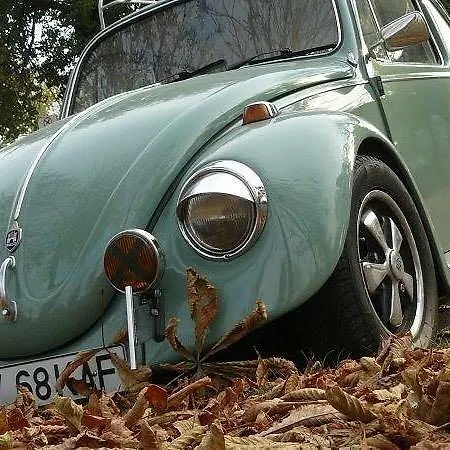 Old Cars ゲストハウス クリスティアン