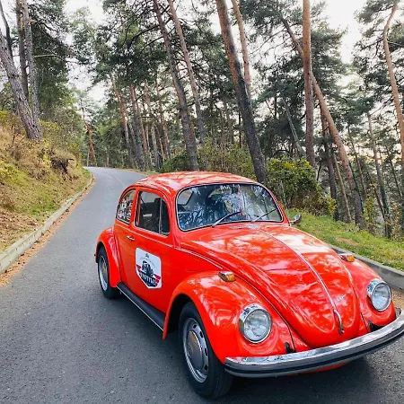 Old Cars 2*
